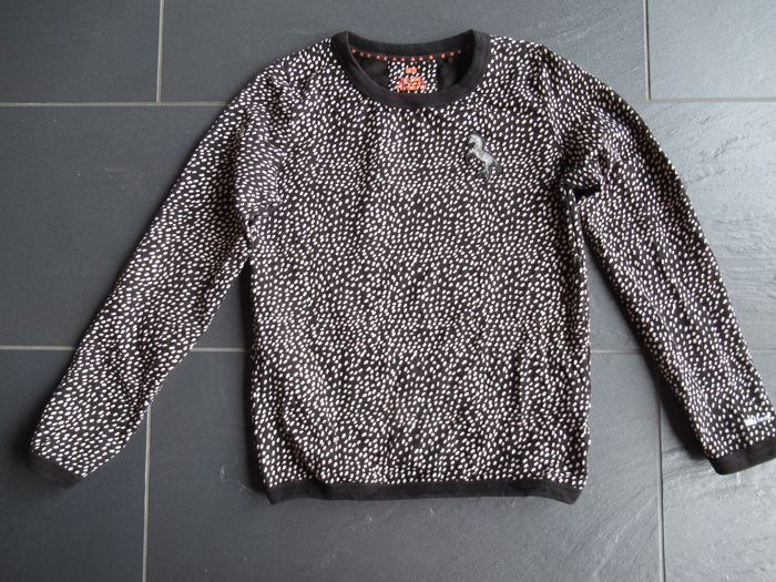 Pull / sweatshirt fille WE Fashion 11 / 12 ans motif zèbre