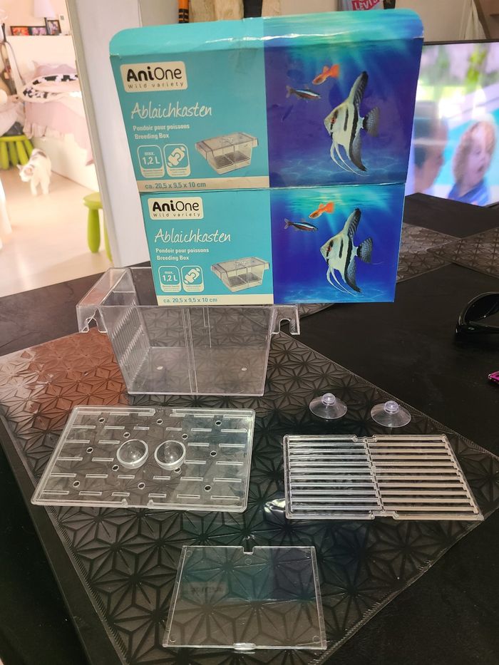 Pondeur pour poissons - photo numéro 2