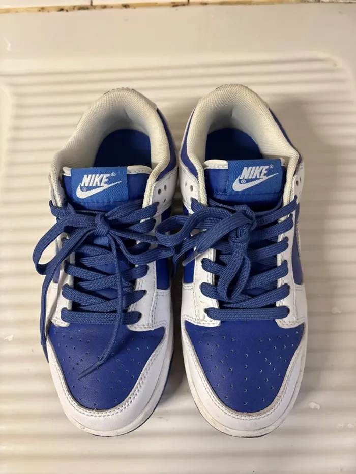 Nike dunk low