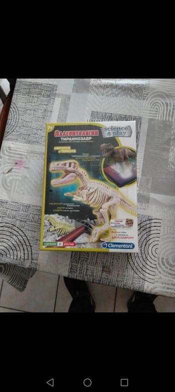 Dinausore découverte