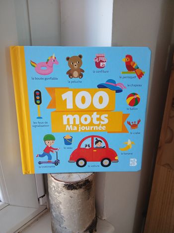 100 mots. Ma journée