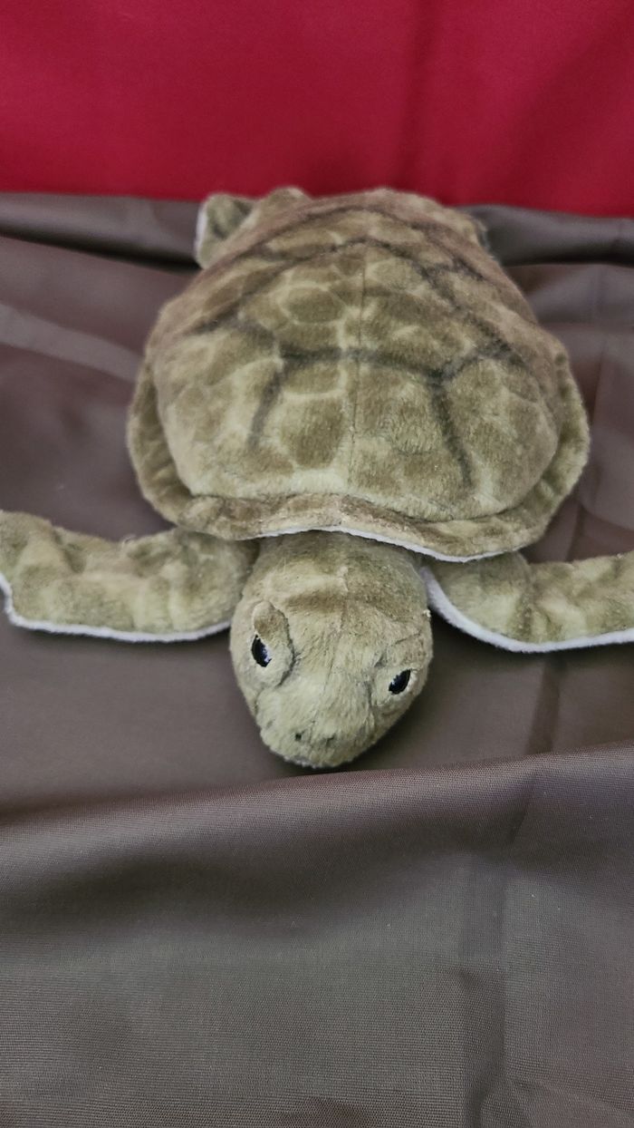 Peluche tortue verte