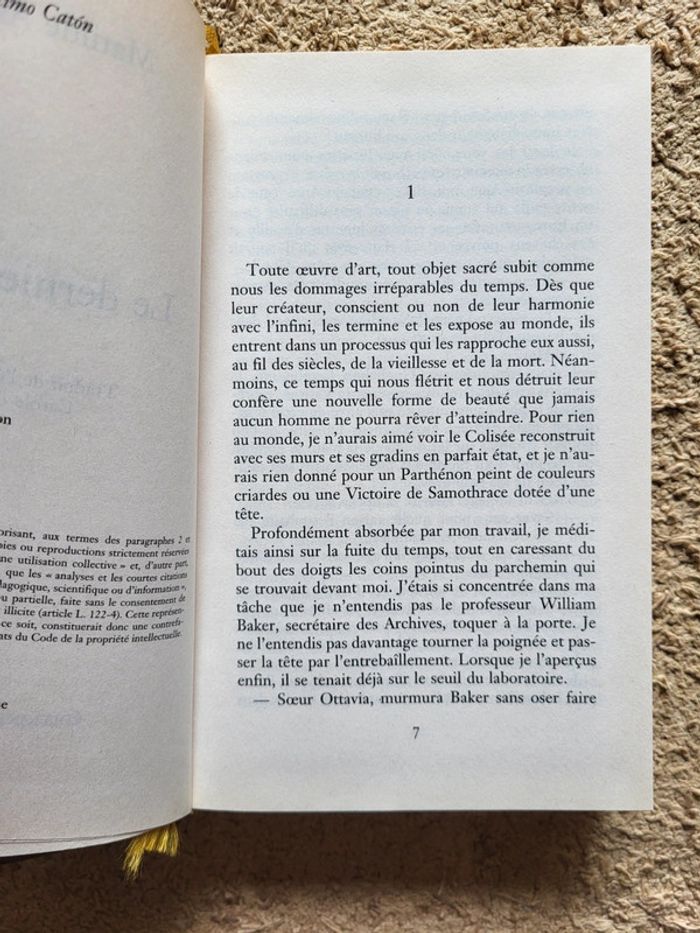 Livre Le Dernier Caton de Matilde Asensi - Thriller historique - photo numéro 6