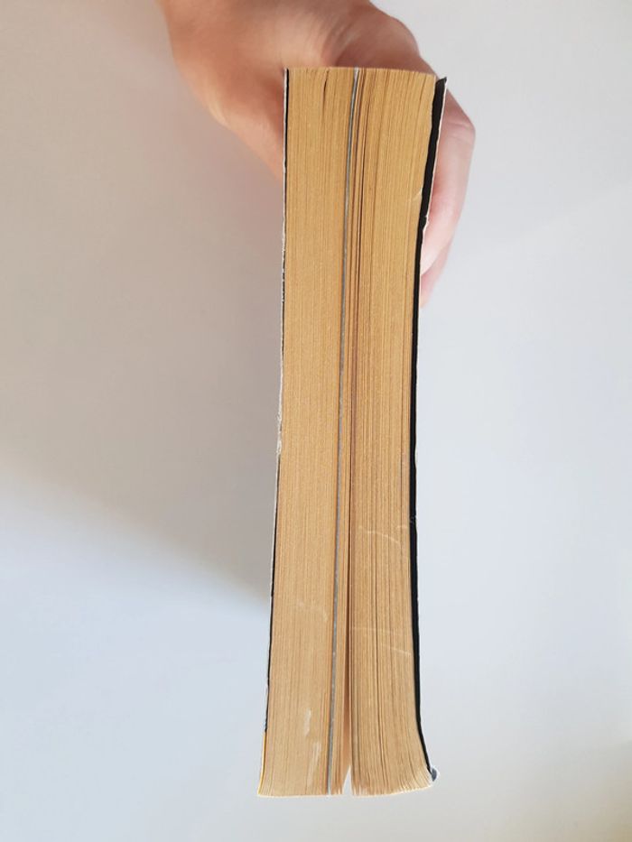Philip Pullman (Écrivain) À la croisée des mondes, Tome 1 : Les Royaumes du Nord - photo numéro 8