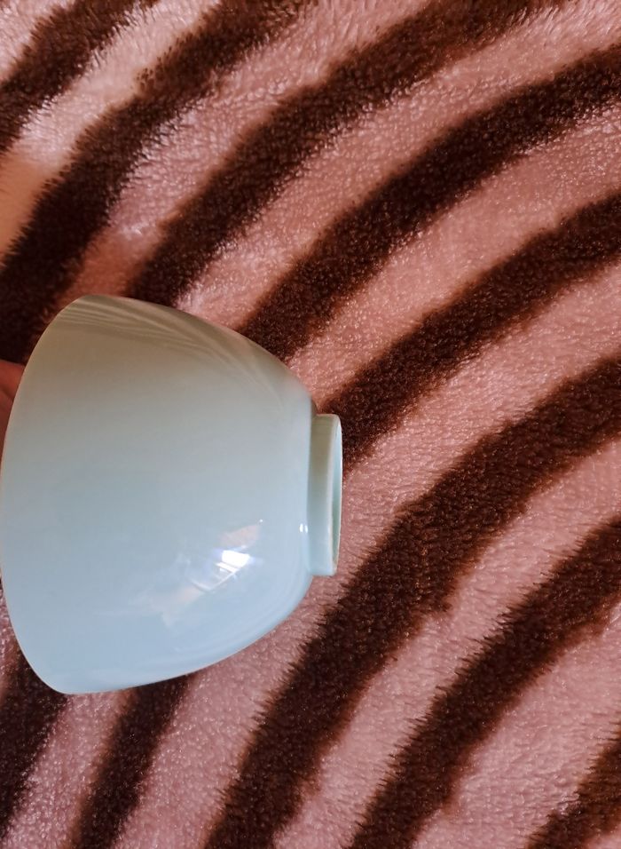 Bol en plastique - photo numéro 6