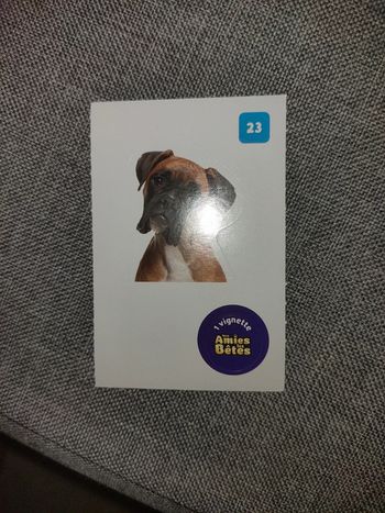 Autocollant nos amies les bêtes