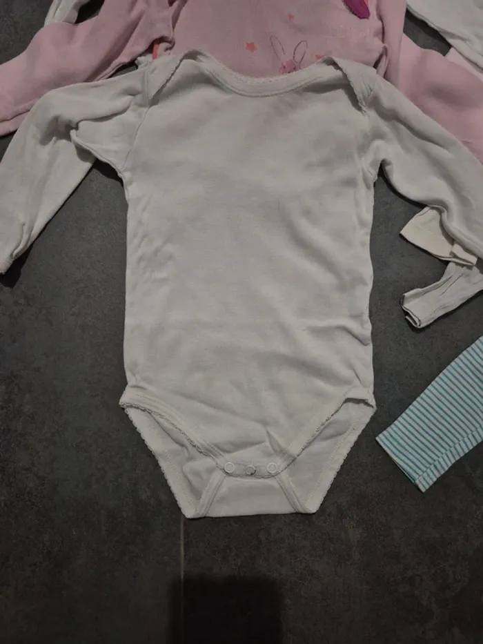 Lot de bodies manches longues fille 12 mois - photo numéro 6
