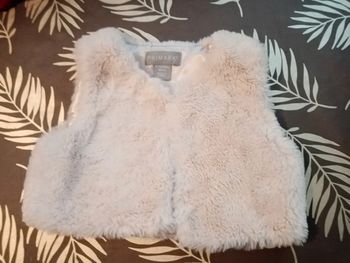 gilet sans manche