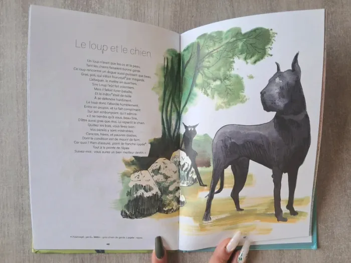 Livre fable Jean de La Fontaine - photo numéro 3