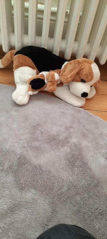 Doudou chien et chiot