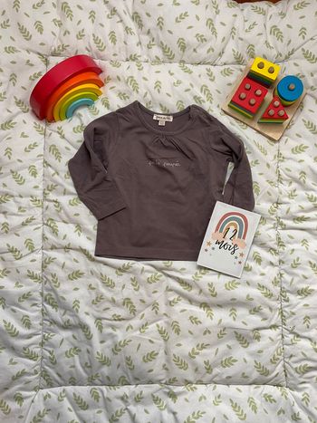 teeshirt manches longues 12 mois grain de blé violet