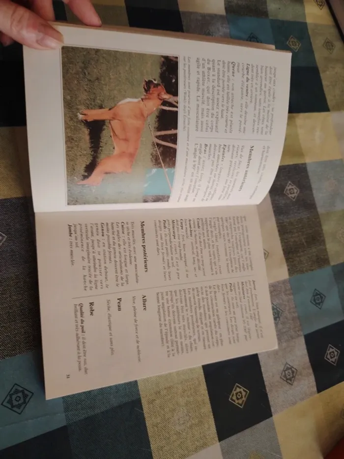 Livre sur le boxer - photo numéro 6