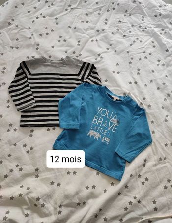 Lot de 2 tee shirt manche longue12 mois, grain de blé