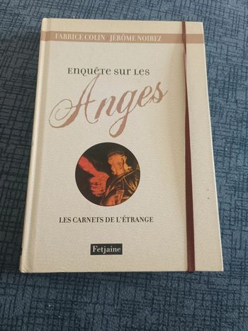 Enquête sur les Anges