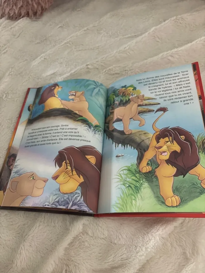 Le roi lion - photo numéro 3