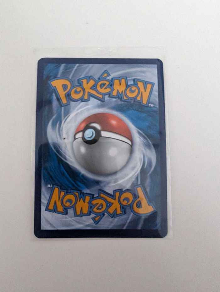 Poussacha 087 - photo numéro 3