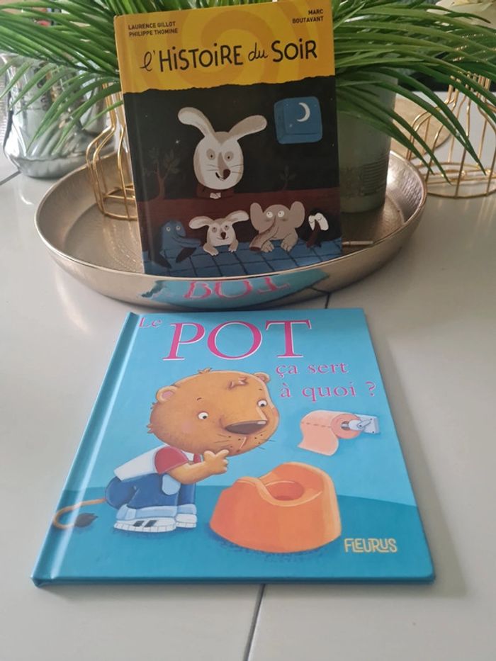 Lot 2 livres enfants en très bon etat