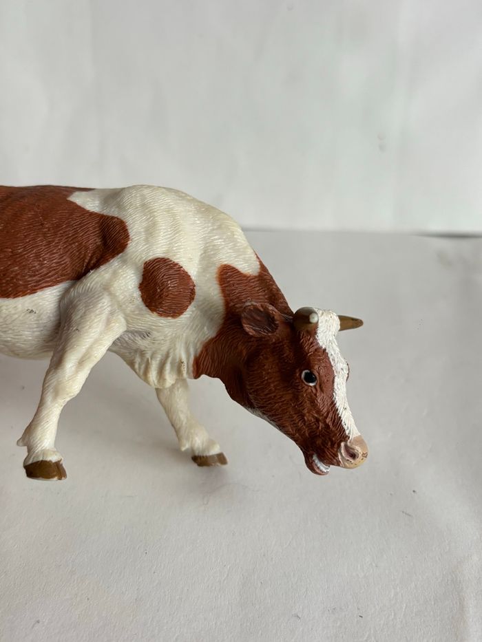 Vache papo - photo numéro 5