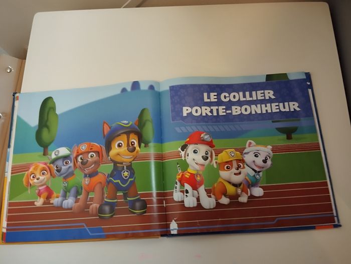 Pat patrouille livre - photo numéro 4