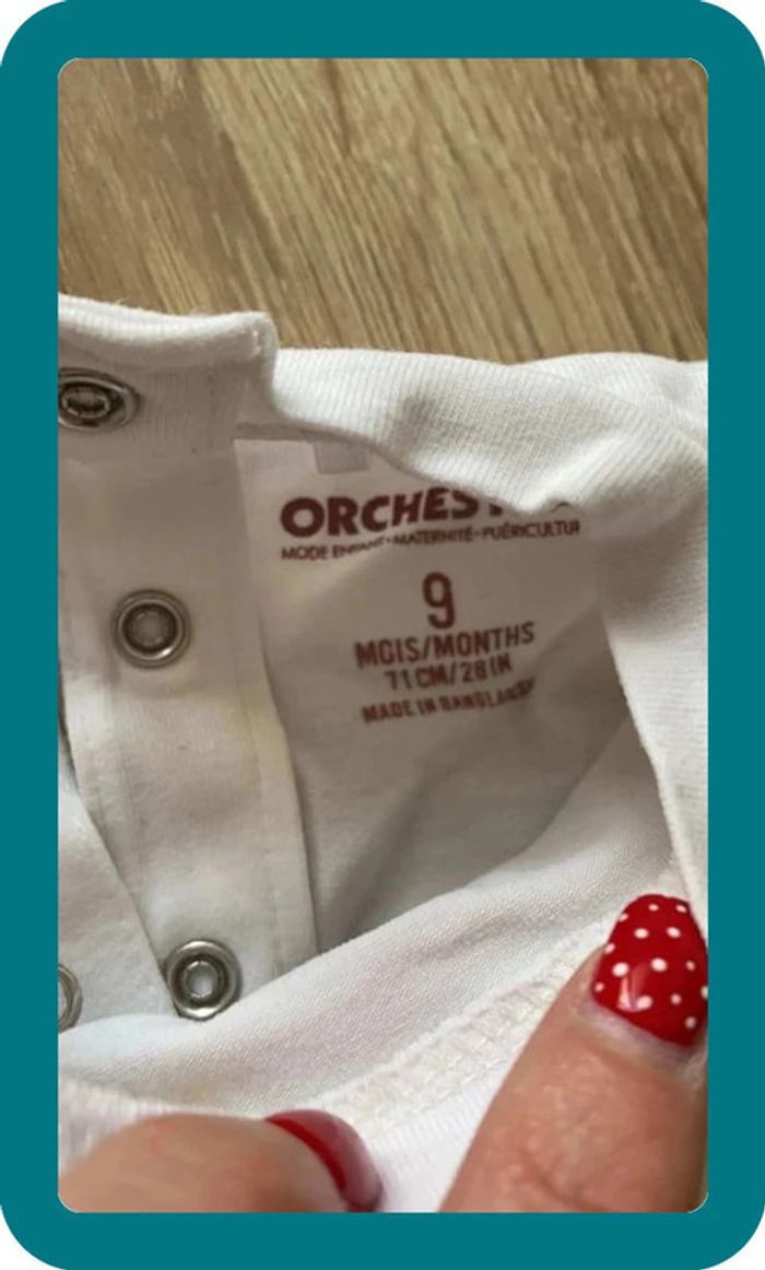 Ensemble 9 mois orchestra - photo numéro 3