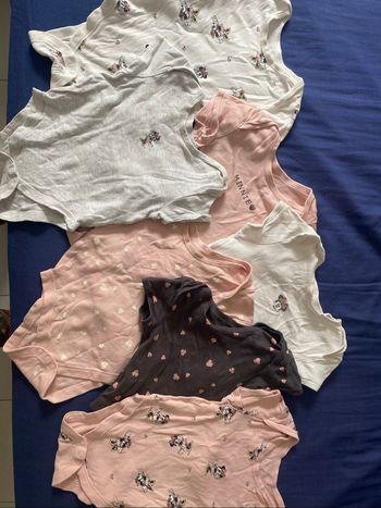 Lot 7 bodies manches courtes