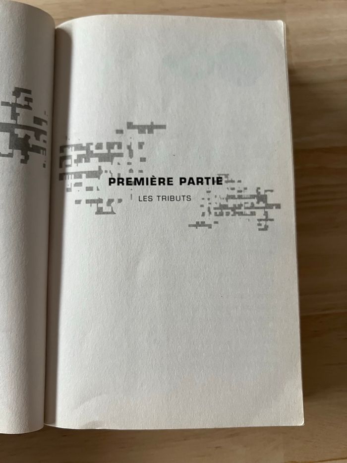 Livre Hunger Games – Suzanne Collins – État Satisfaisant - photo numéro 2