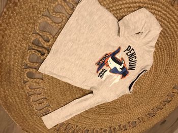 Tee shirt manche longue  taille 2/3 ans