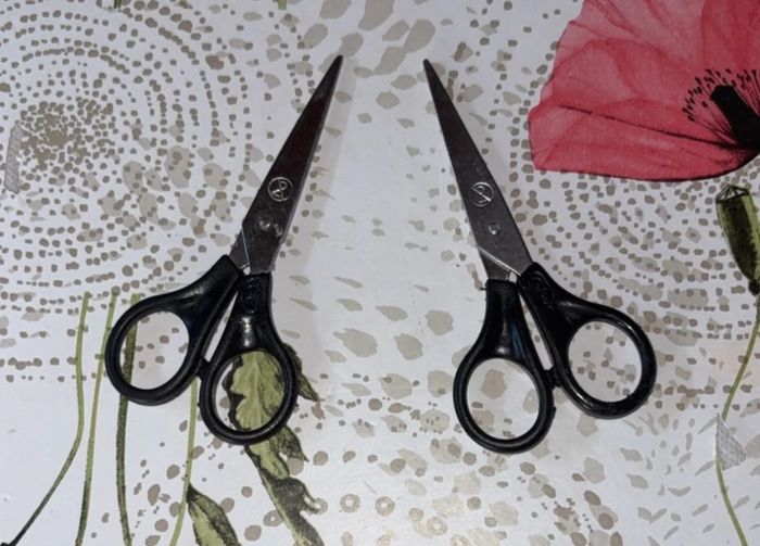 Ciseaux soin