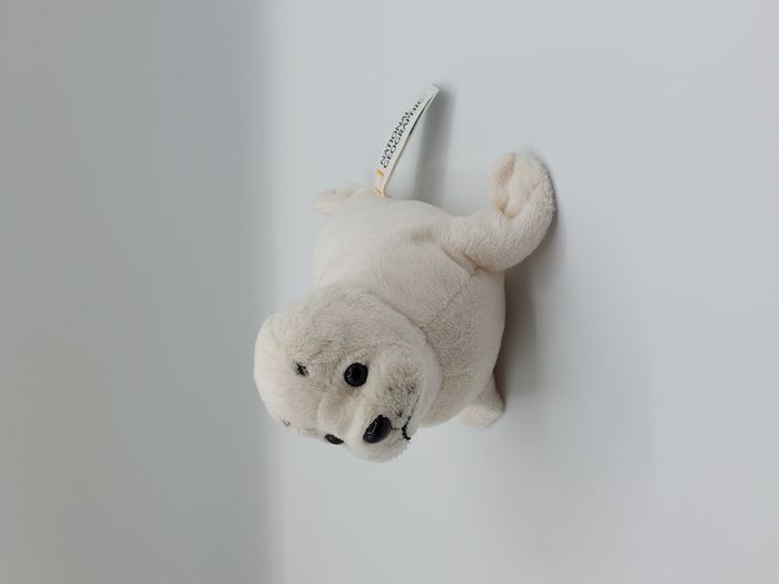 Peluche doudou phoque blanc crème NATIONAL GEOGRAPHIC 20 cm 2017 Venturelli