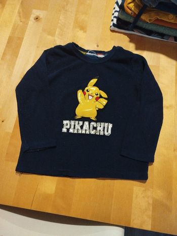 Pull polaire