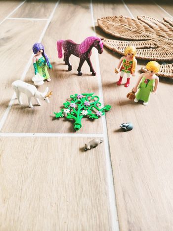 🦄Playmobil féerie/fairies lot de figurines nymphes , petits animaux et biche