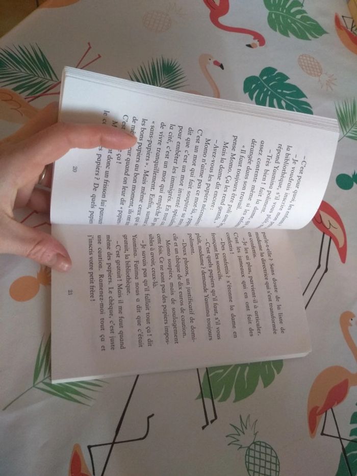 Livre Momo, petit prince des Bleuets - photo numéro 6