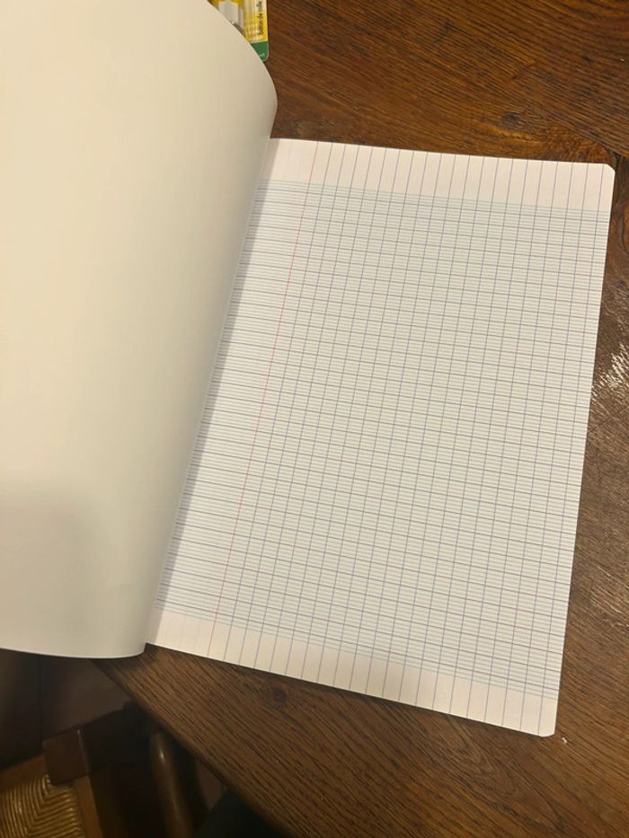 Cahier Oxford - photo numéro 3