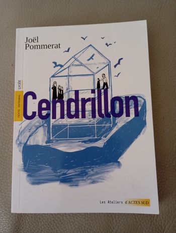 Livre cendrillon de Joël pommerat neuf