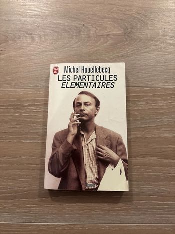 Livre les particules élémentaires