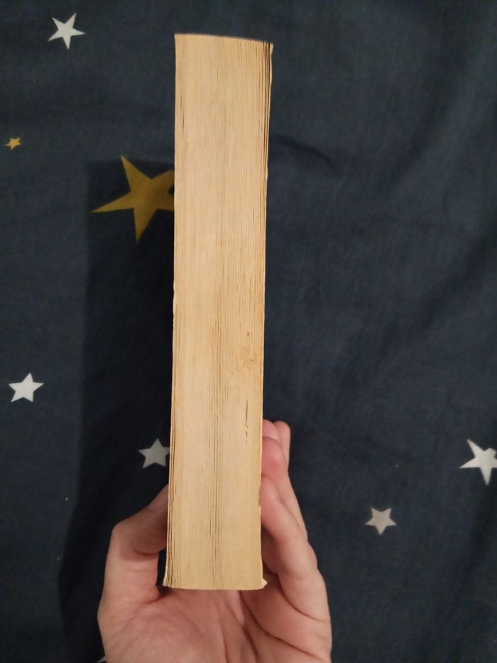 Livre (95) 📚 L'heure du loup - photo numéro 4