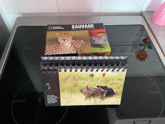 Calendrier National Geographic, nature sauvage - photo numéro 4