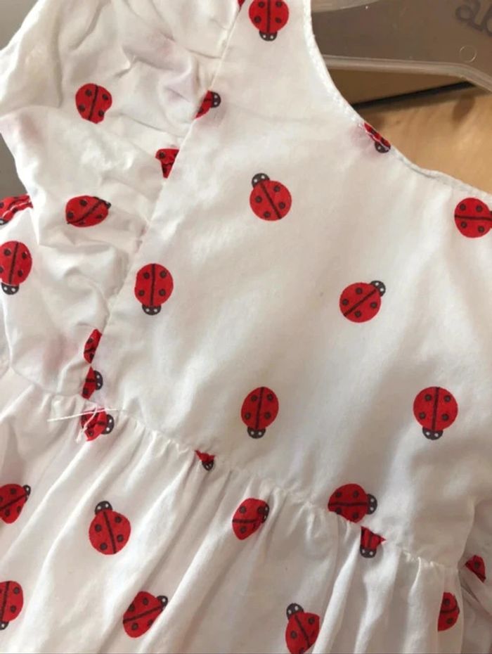 Adorable robe coccinelle 9 mois parfait état - photo numéro 2