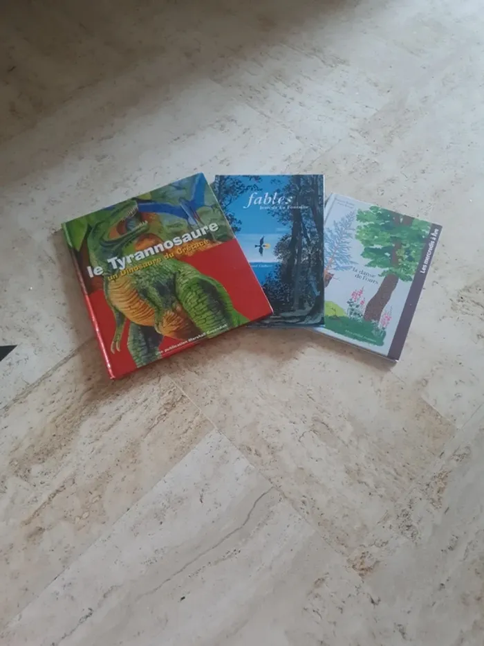 Lot 3 livres enfants
