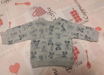 Sweat Mickey