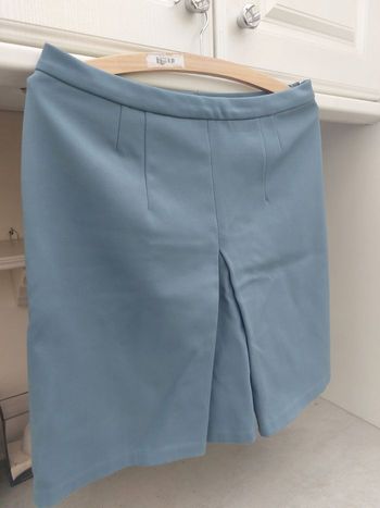 Jupe bien habillée un peu costume