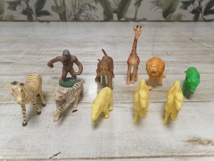 Animaux. - photo numéro 5