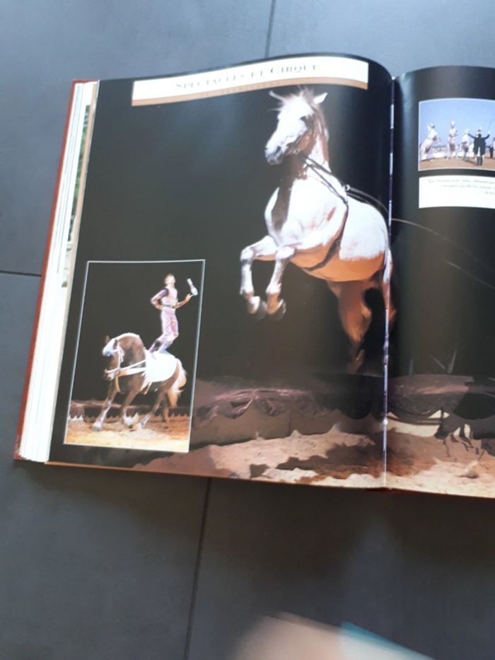 Très beau livre le grand livre des chevaux - photo numéro 13