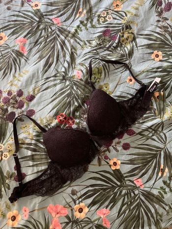 Soutien-gorge  étal