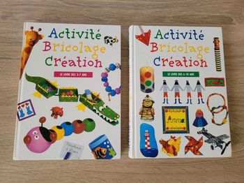 Lot de 2 livres d'activités