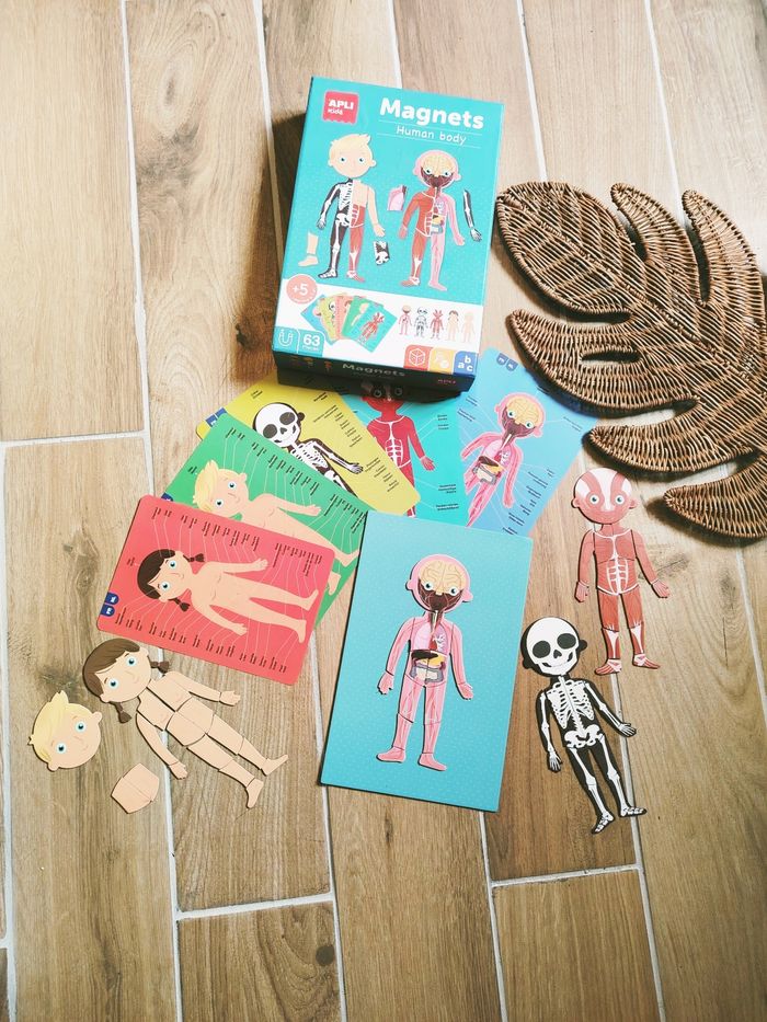💪Coffret Montessori magnétique le Corp humain