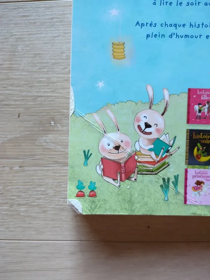 Livre histoire du soir pour les petits - photo numéro 3