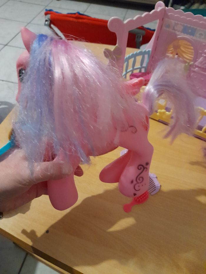 Petits poneys - photo numéro 5