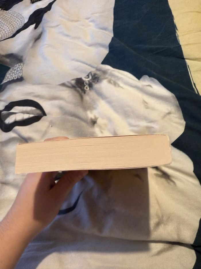 The love code - Susannah Nix - photo numéro 3