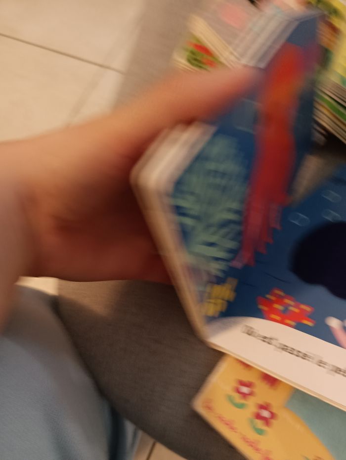 6 livres bébé avec volets en feutrine de la collection cache cache - photo numéro 7